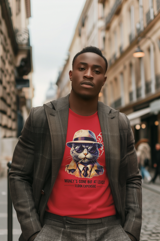 Shirt – Funny "Money’s Gone But I Look Expensive" Graphic Tee for Stylish People